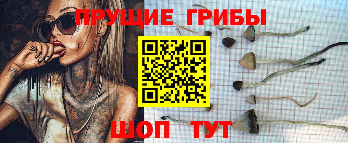 Галлюциногенные грибы GOLDEN TEACHER  Псилоцибиновые грибы Psilocybe  Вход с VPN  Артёмовский 