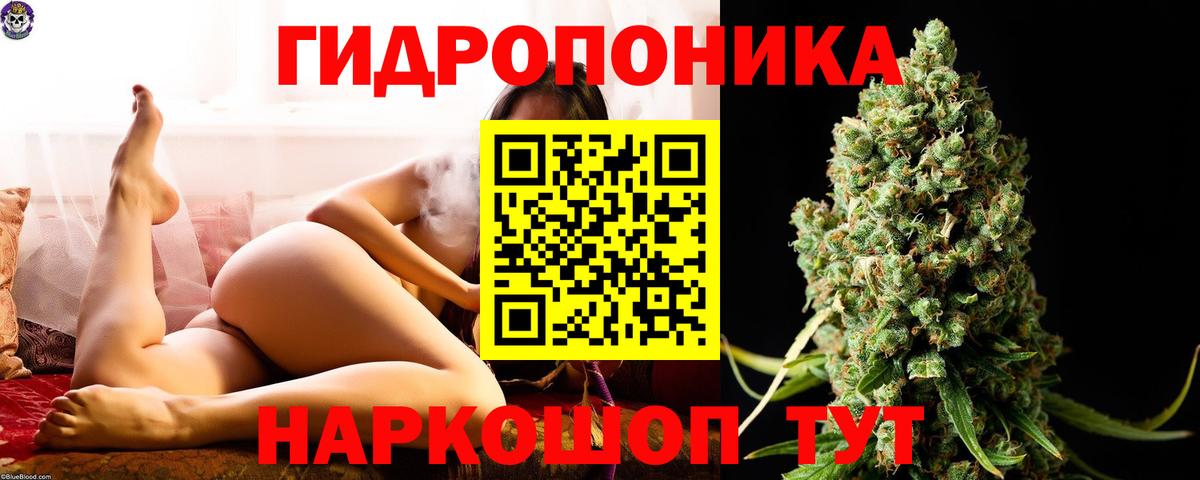 Артёмовский  Канабис план  Бошки Шишки ГИДРОПОН  Конопля MAZAR  Вход с VPN 